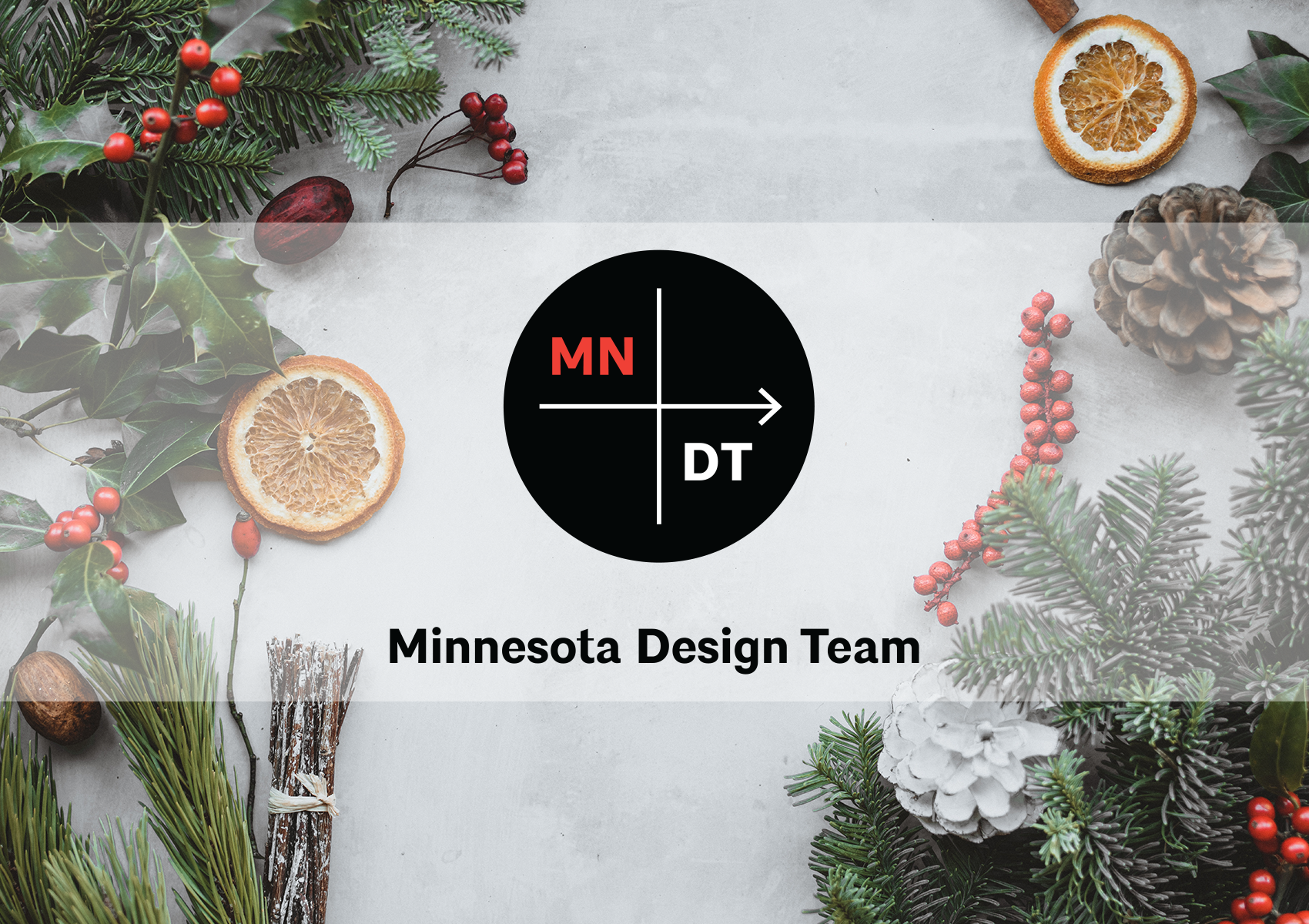 Minnesota Design Team Committee Social